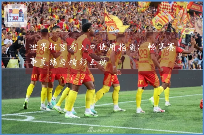 世界杯官方入口使用指南：畅享赛事直播与精彩互动