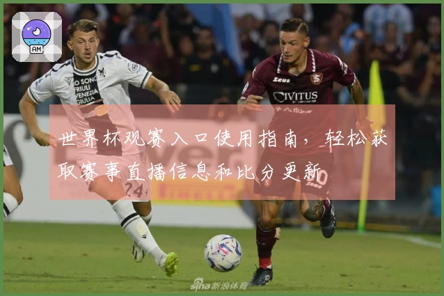 世界杯观赛入口使用指南,轻松获取赛事直播信息和比分更新