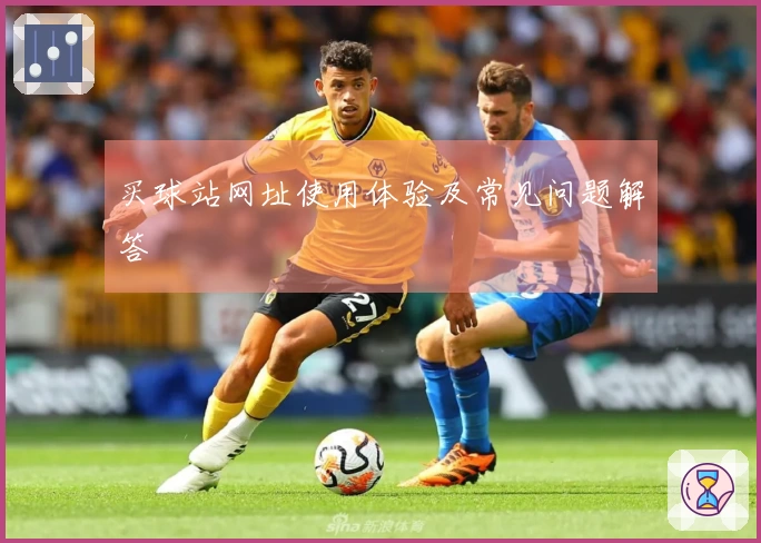 买球站网址使用体验及常见问题解答