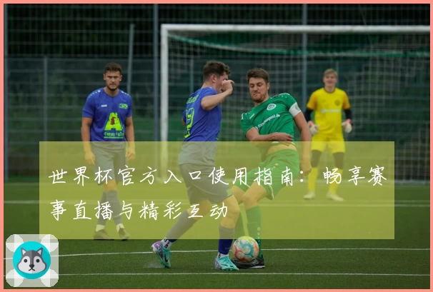 世界杯官方入口使用指南：畅享赛事直播与精彩互动