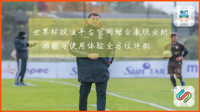 世界杯投注平台官网综合表现分析：功能与使用体验全方位评测