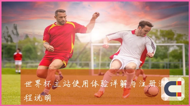 世界杯主站使用体验详解与注册流程说明