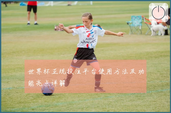 世界杯正规投注平台使用方法及功能亮点详解