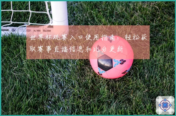 世界杯观赛入口使用指南，轻松获取赛事直播信息和比分更新