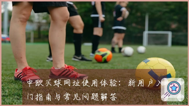 中欧买球网址使用体验：新用户入门指南与常见问题解答