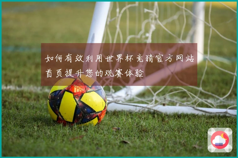 如何有效利用世界杯竞猜官方网站首页提升您的观赛体验